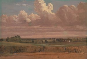 Landskap med Wheatfield